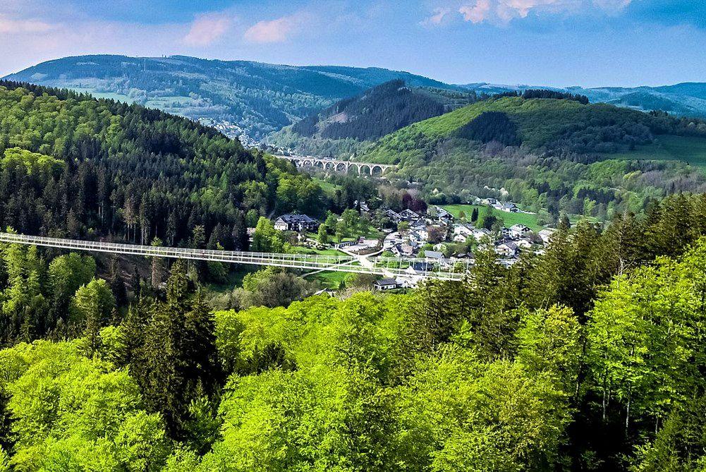 Panoramablick auf einen Wald mit Brücke und Talort