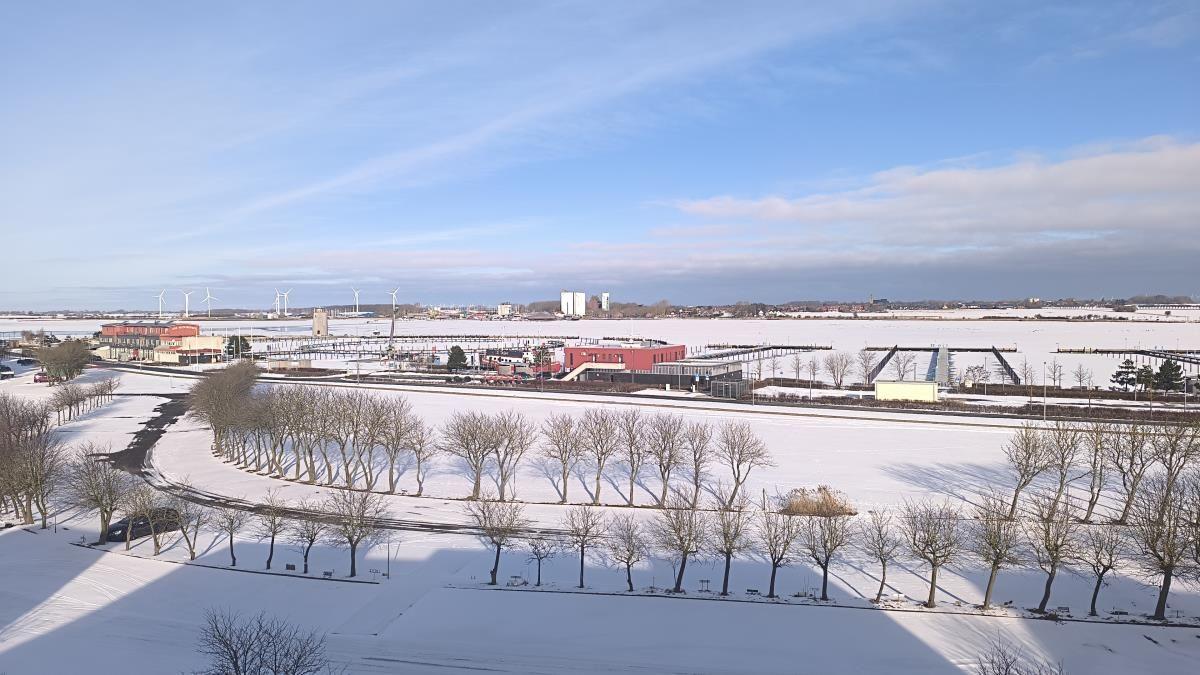 Schneebedeckter Park mit Bäumen und Blick auf Industriegebiet und Windkraftanlagen.