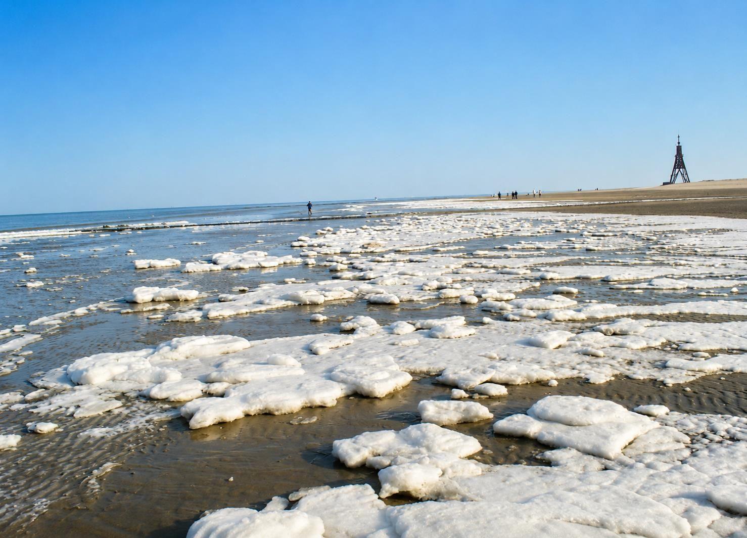 Ferienwohnung Nordsee,Swatten Diek 35, Cuxhaven- Sahlenburg
