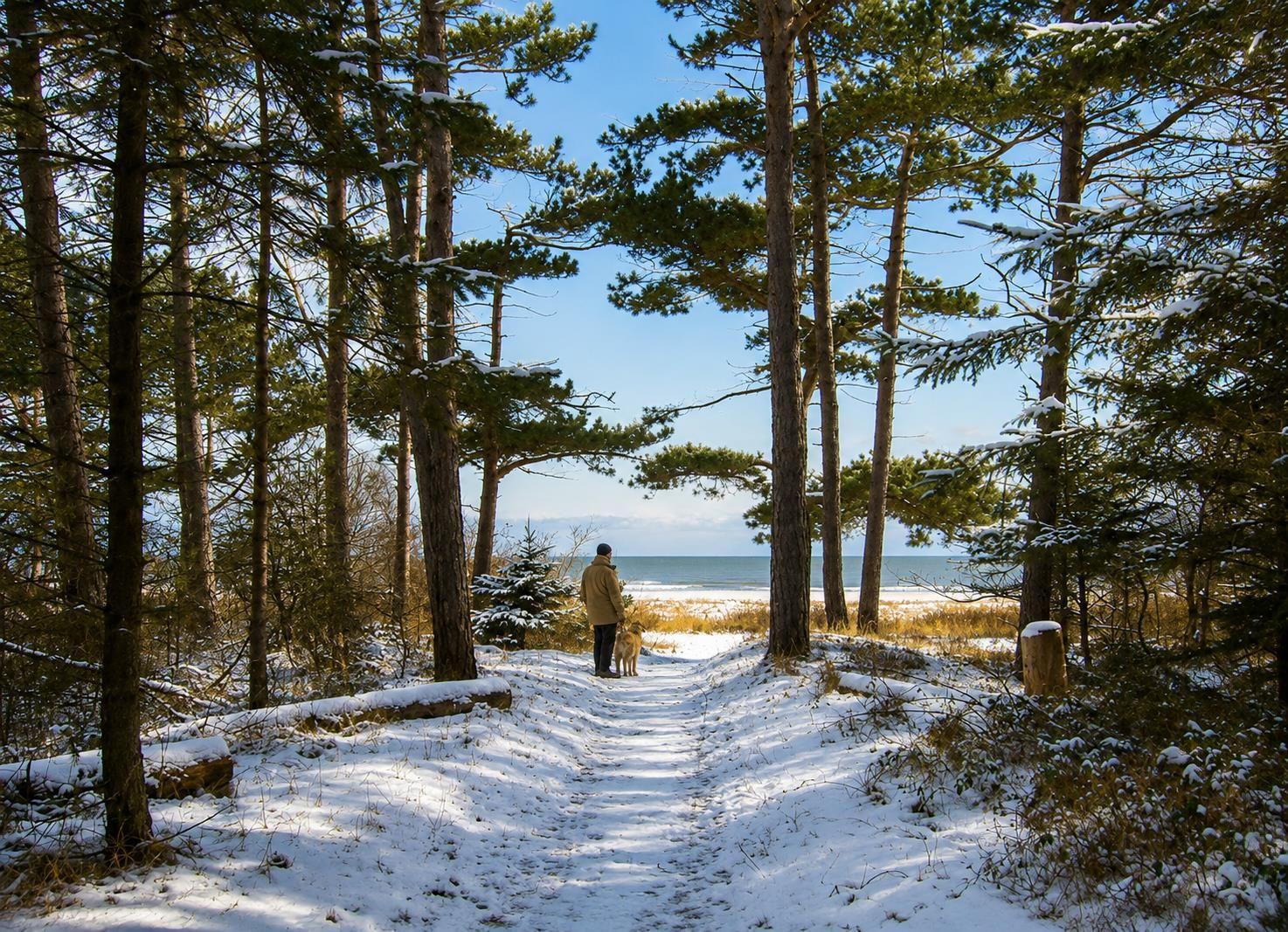 Ferienwohnung Nordsee,Swatten Diek 35, Cuxhaven- Sahlenburg