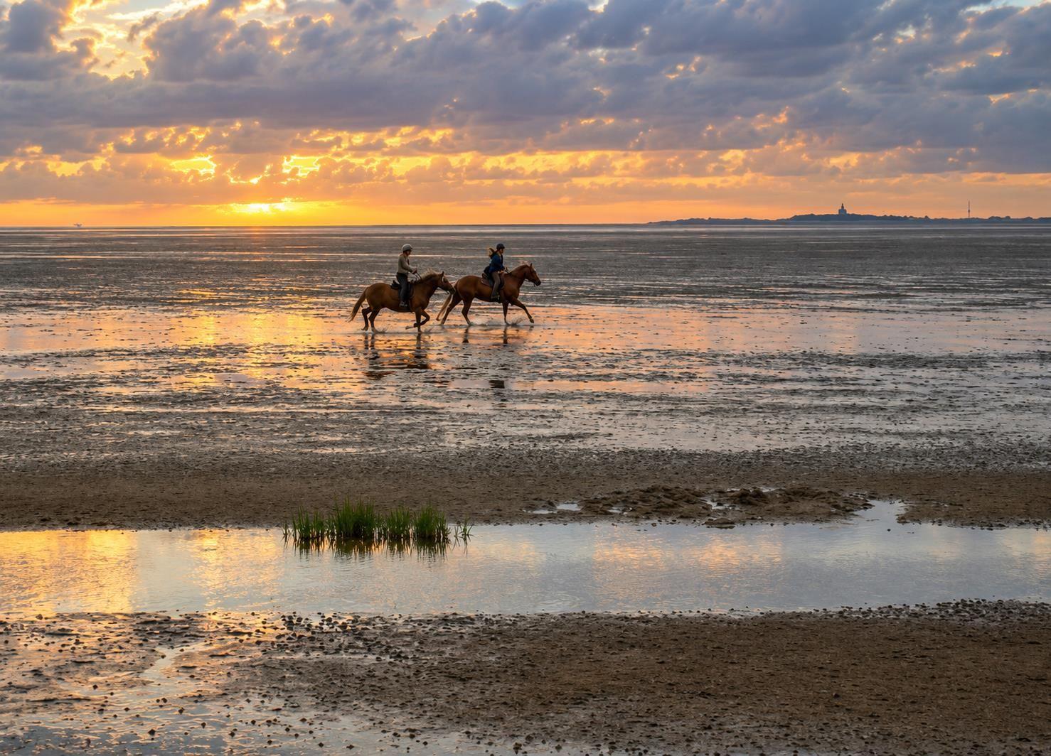Ferienwohnung Nordsee,Swatten Diek 35, Cuxhaven- Sahlenburg