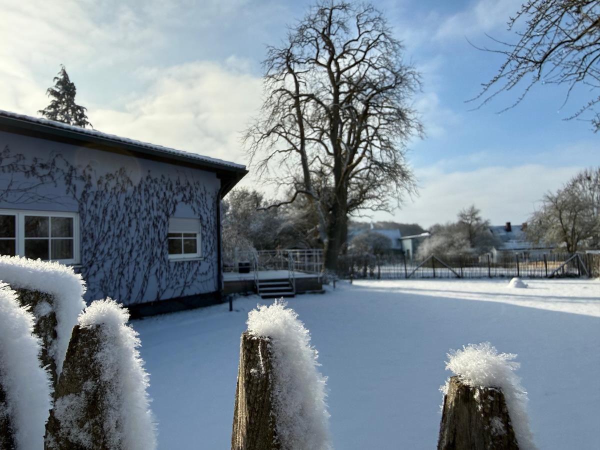 Schneebedeckter Garten mit Holzpfosten und Haus im Hintergrund.