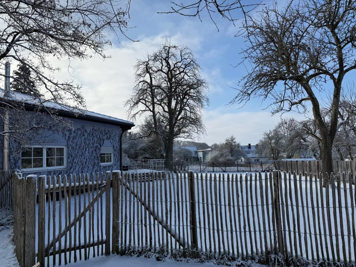 Ein Haus mit Schnee bedeckt, umgeben von Bäumen und einem Holzzaun.