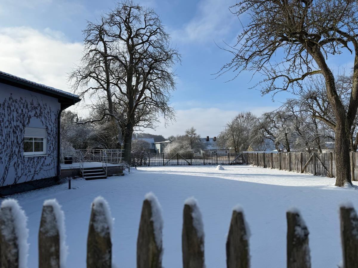 Schneebedeckter Hof mit Zaun, Bäumen und Haus im Hintergrund.