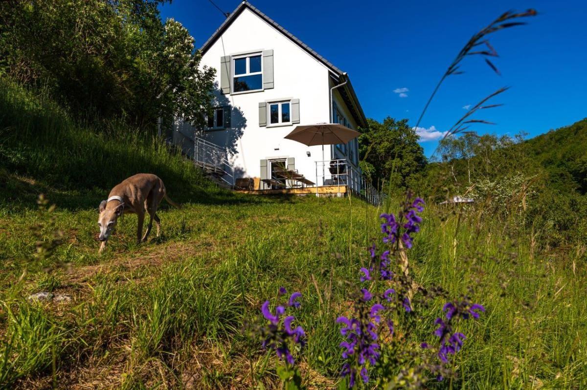 Ein weißes Haus mit Terrasse, umgeben von Gras und Blumen, auf dem ein Hund grasen.
