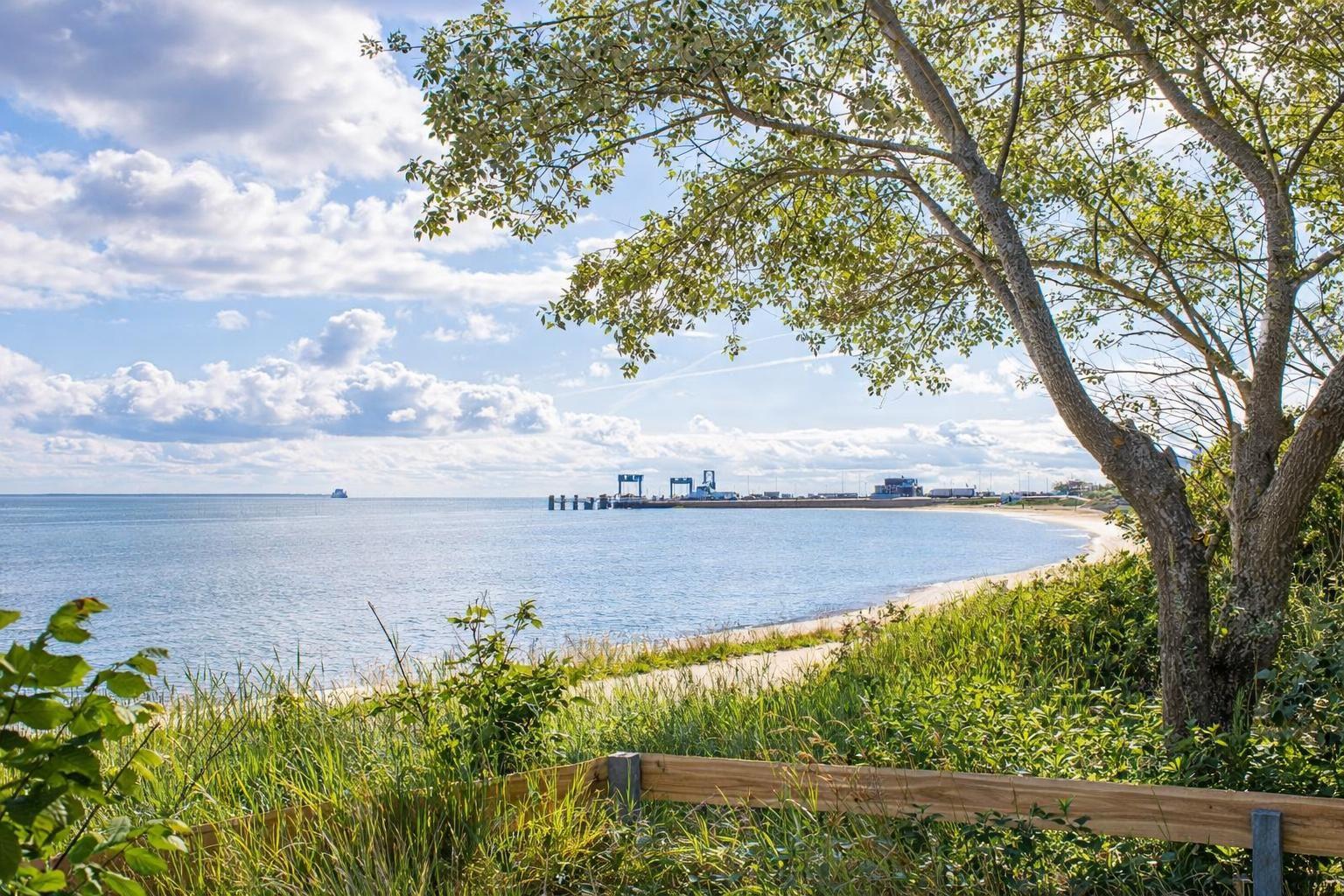 Sea view with beach, tree, and wooden railing in the foreground.