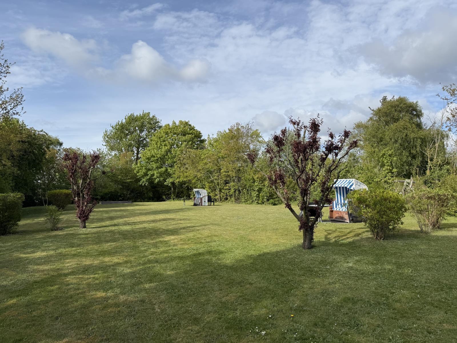 Garten  hinter dem Haus