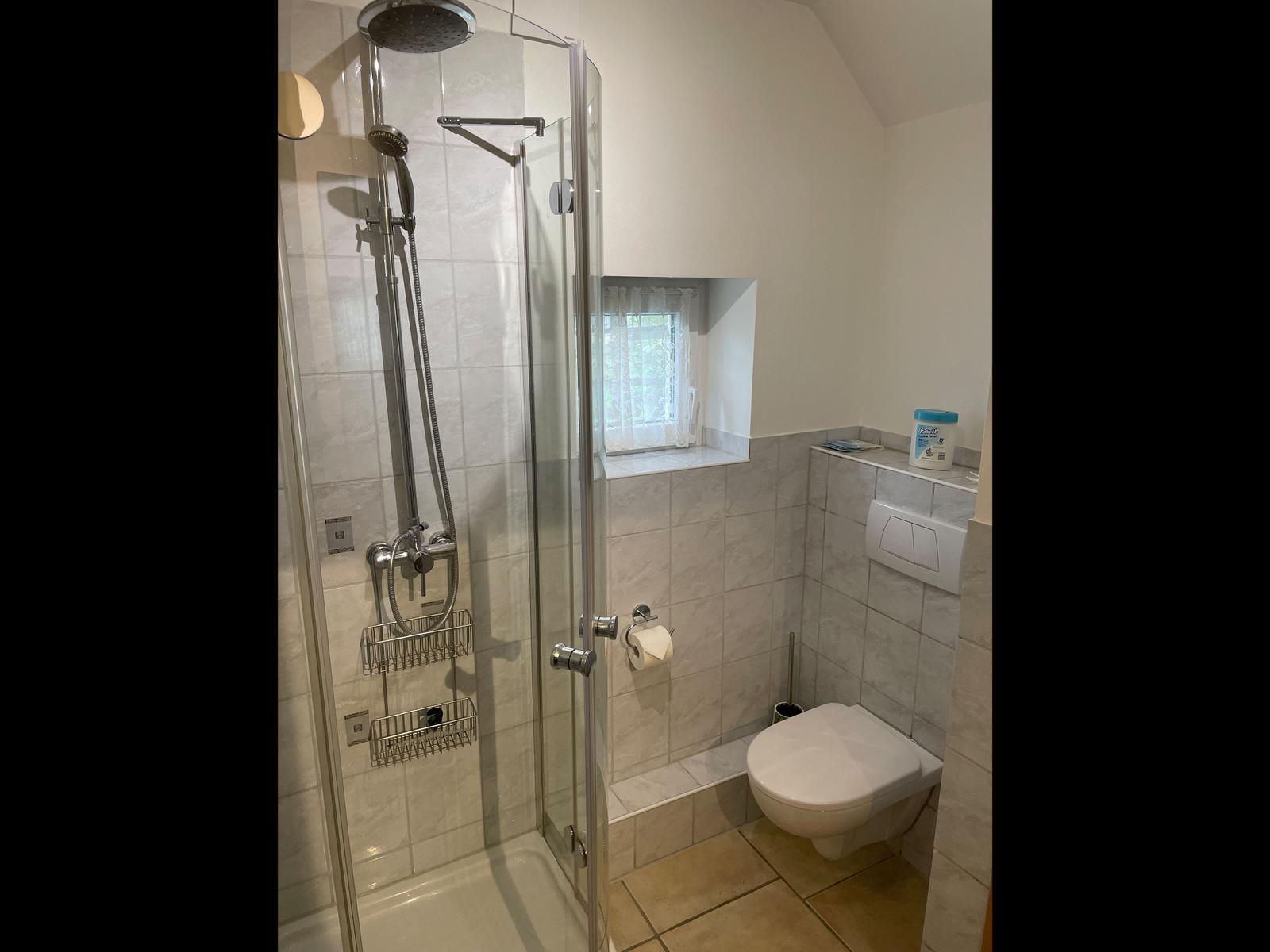 Shower with showerhead, toilet, and window in the bathroom.