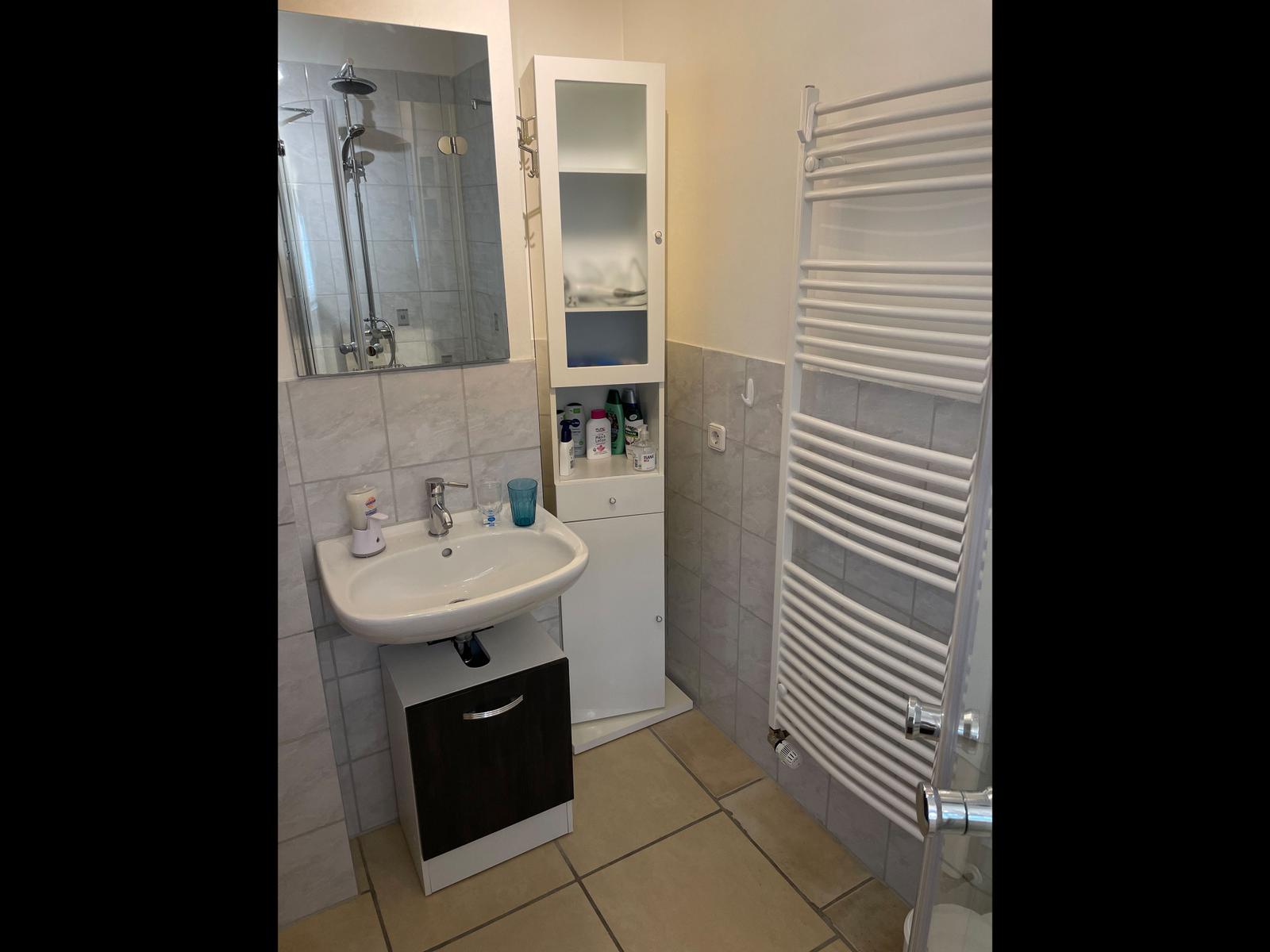 Bathroom with sink, mirror, shower, and heater.