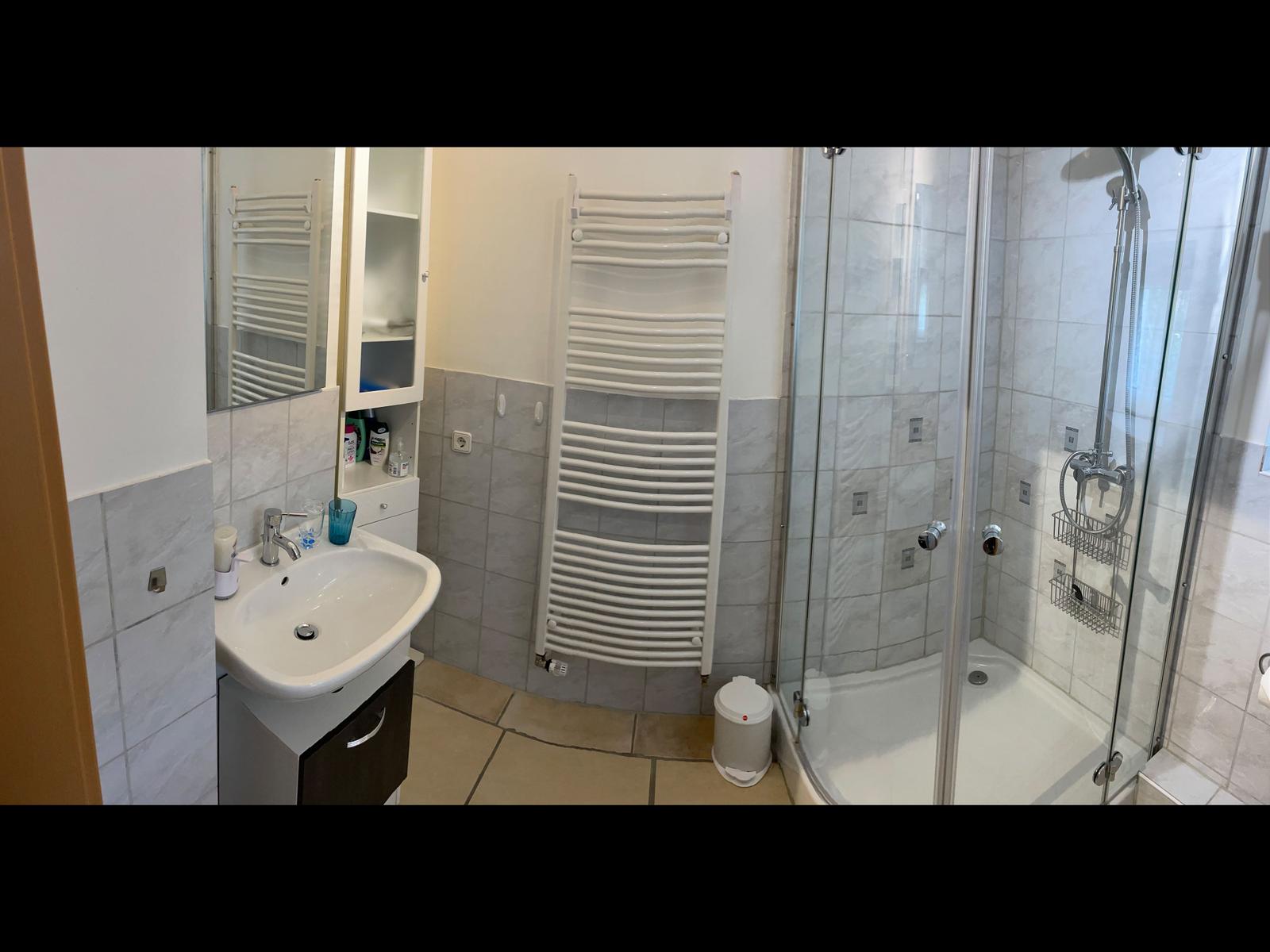 Bathroom with shower, sink, and heater