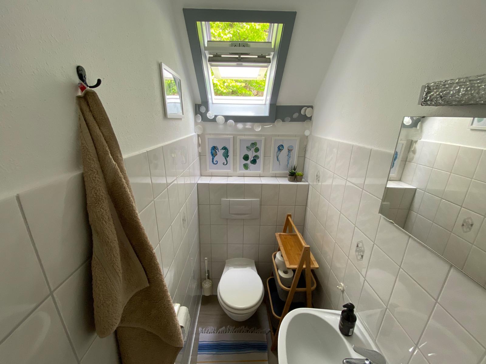 Badezimmer mit Dachfenster, Toilette, Waschbecken und Holzregal.