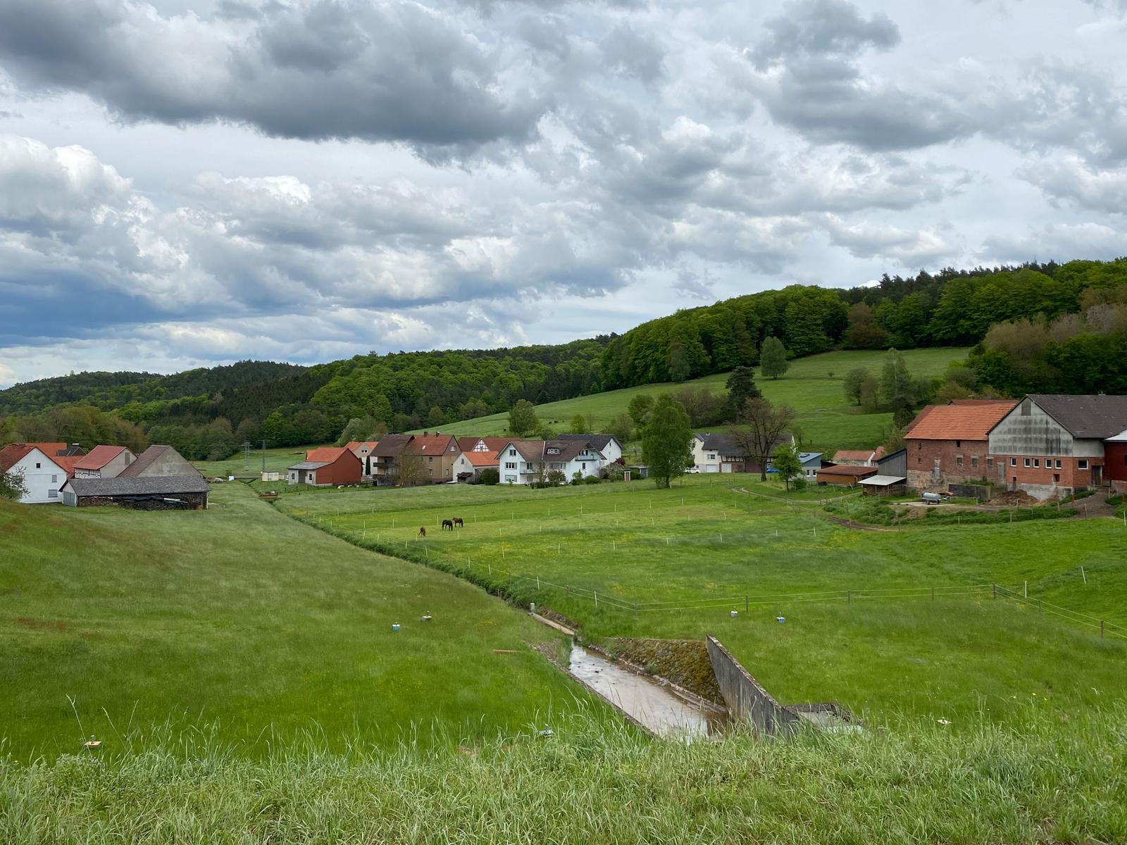 Grüne Wiesen mit Häusern und Wald unter bewölktem Himmel