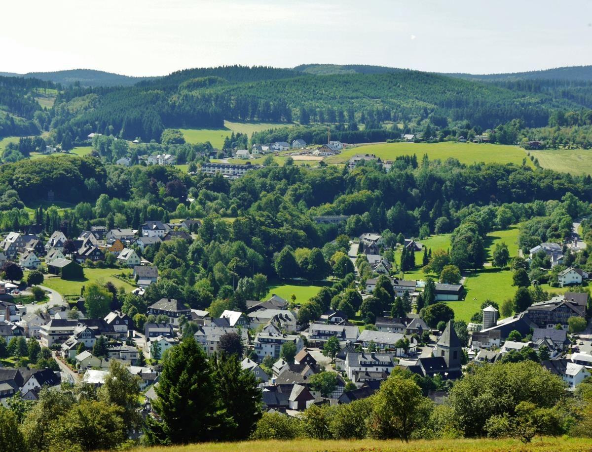 Panoramablick auf ein Dorf mit Häusern, Wiesen und bewaldeten Hügeln.