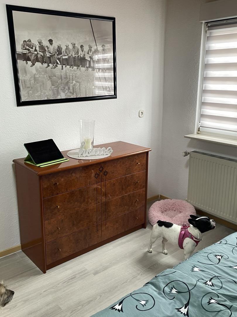 Schlafzimmer mit Kleiderschrank, Bett und Hund. Wandbild und Fenster mit Jalousie.