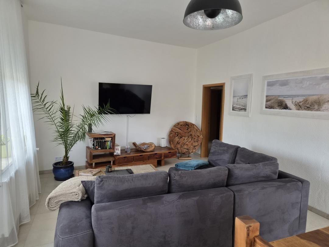 Wohnzimmer mit grauem Sofa, Fernseher und Pflanze.