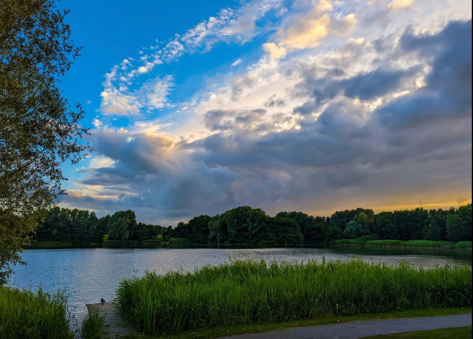 Lake with grassy strips and trees under a cloudy sky with moon.