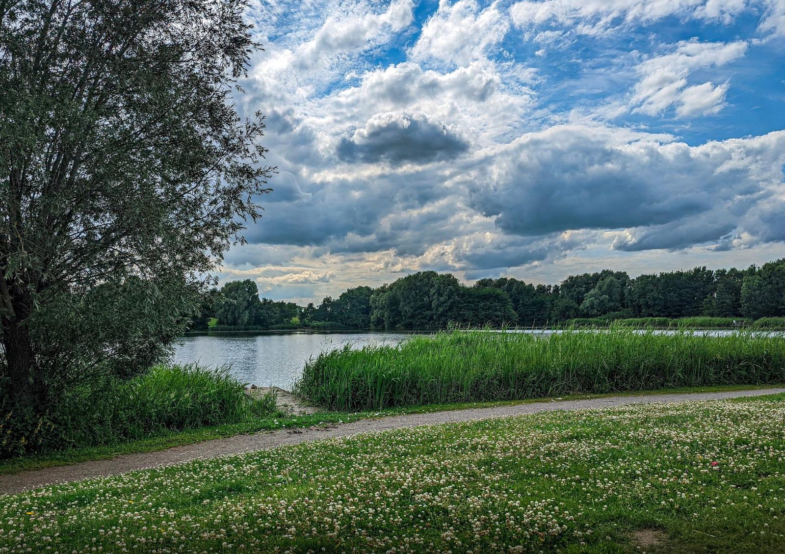 Path along a lake with grass and trees under a cloudy sky.