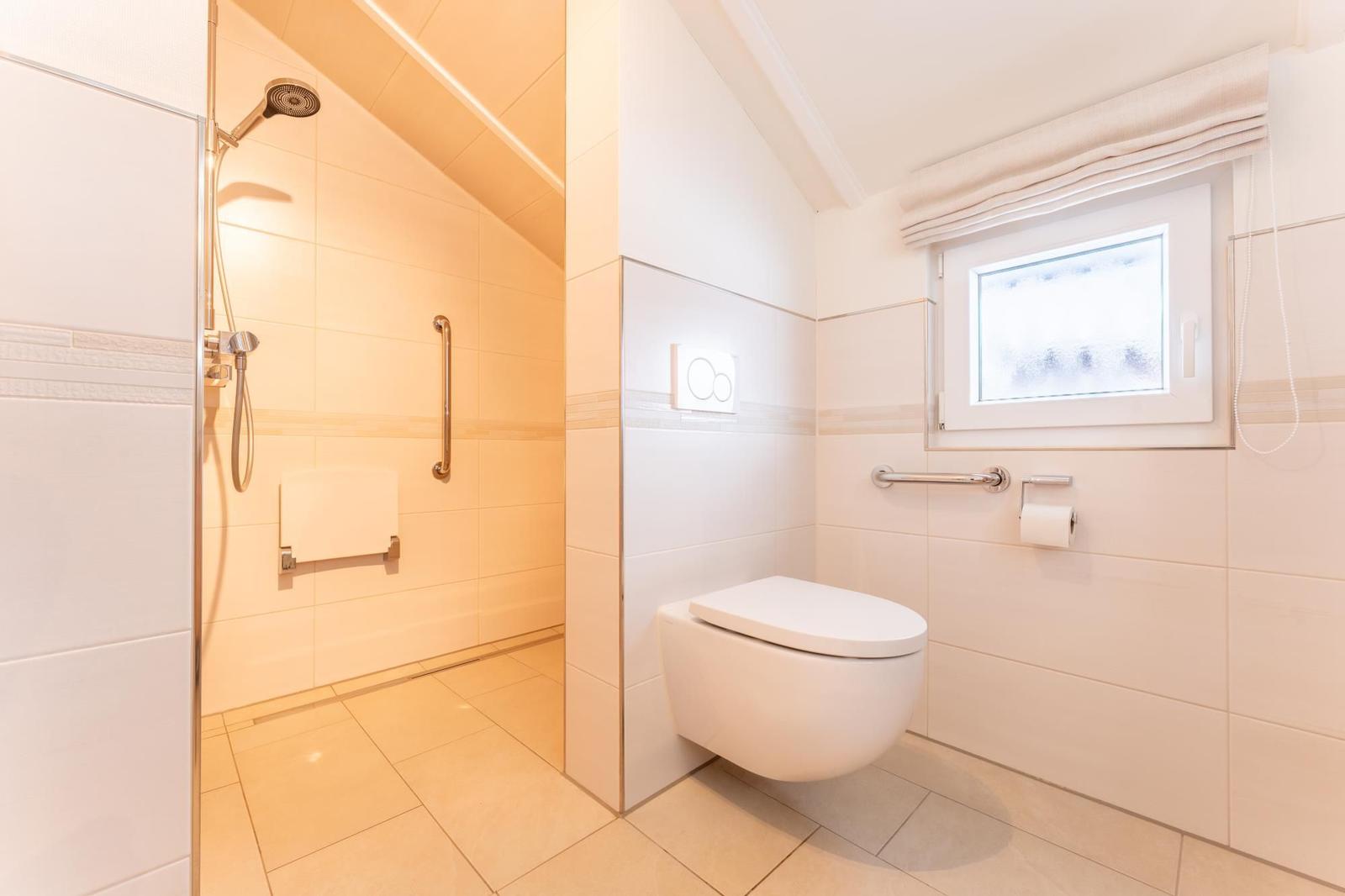 Shower with grab bar and toilet with grab bar and window