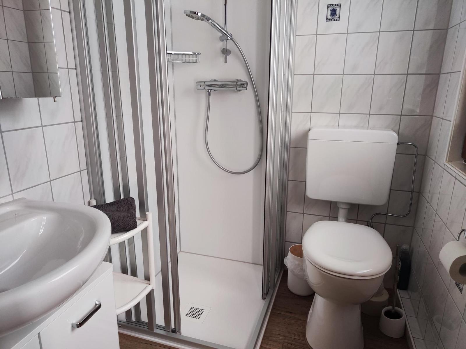 Bathroom with shower, toilet, and sink.