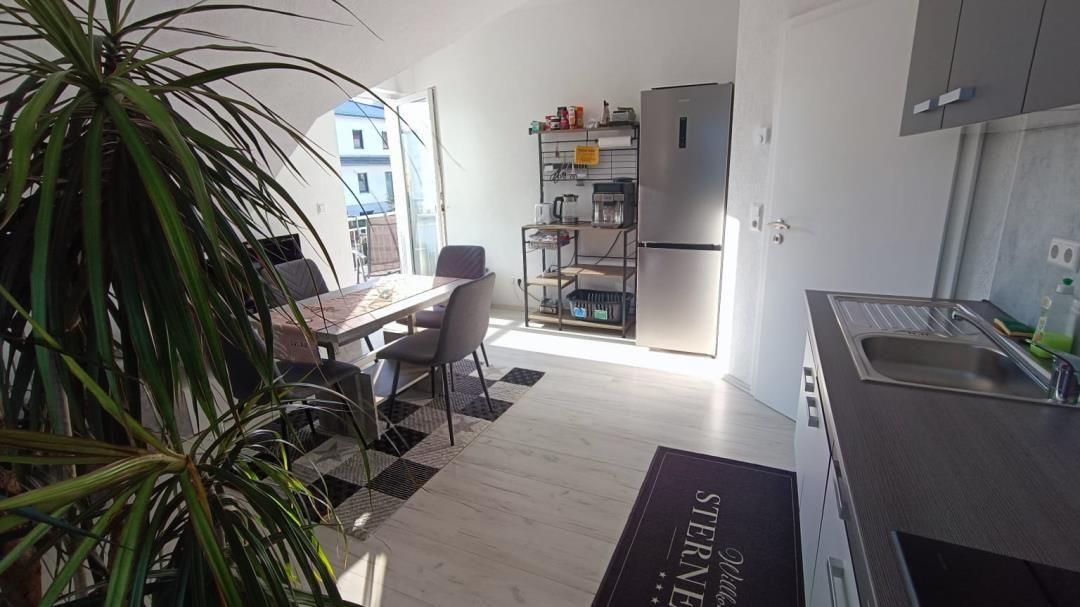 Küche mit Arbeitsplatte, Spüle und Kühlschrank. Essbereich mit Tisch und Stühlen. Große Pflanze im Vordergrund.