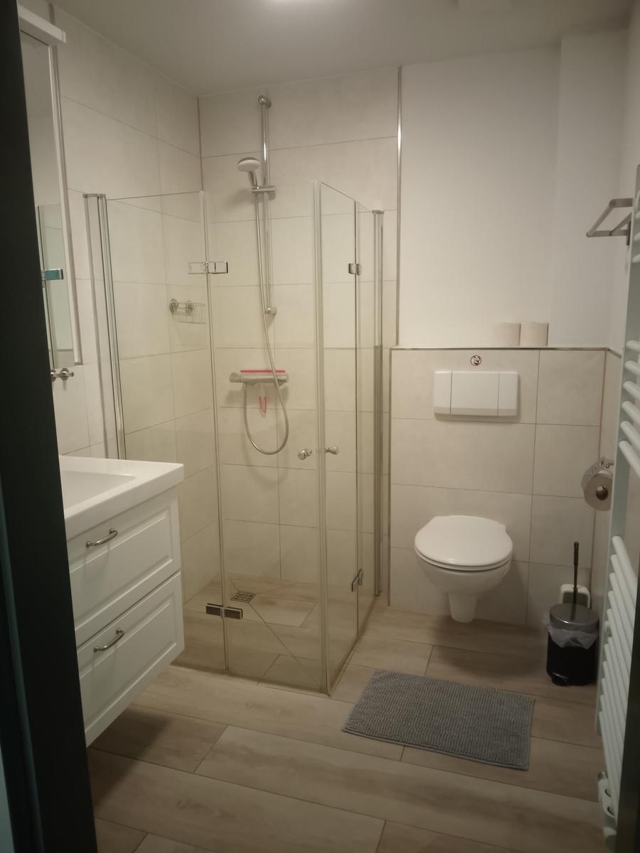 Bad mit Dusche, WC und Waschbecken. Fliesenboden und Spiegelschrank.
