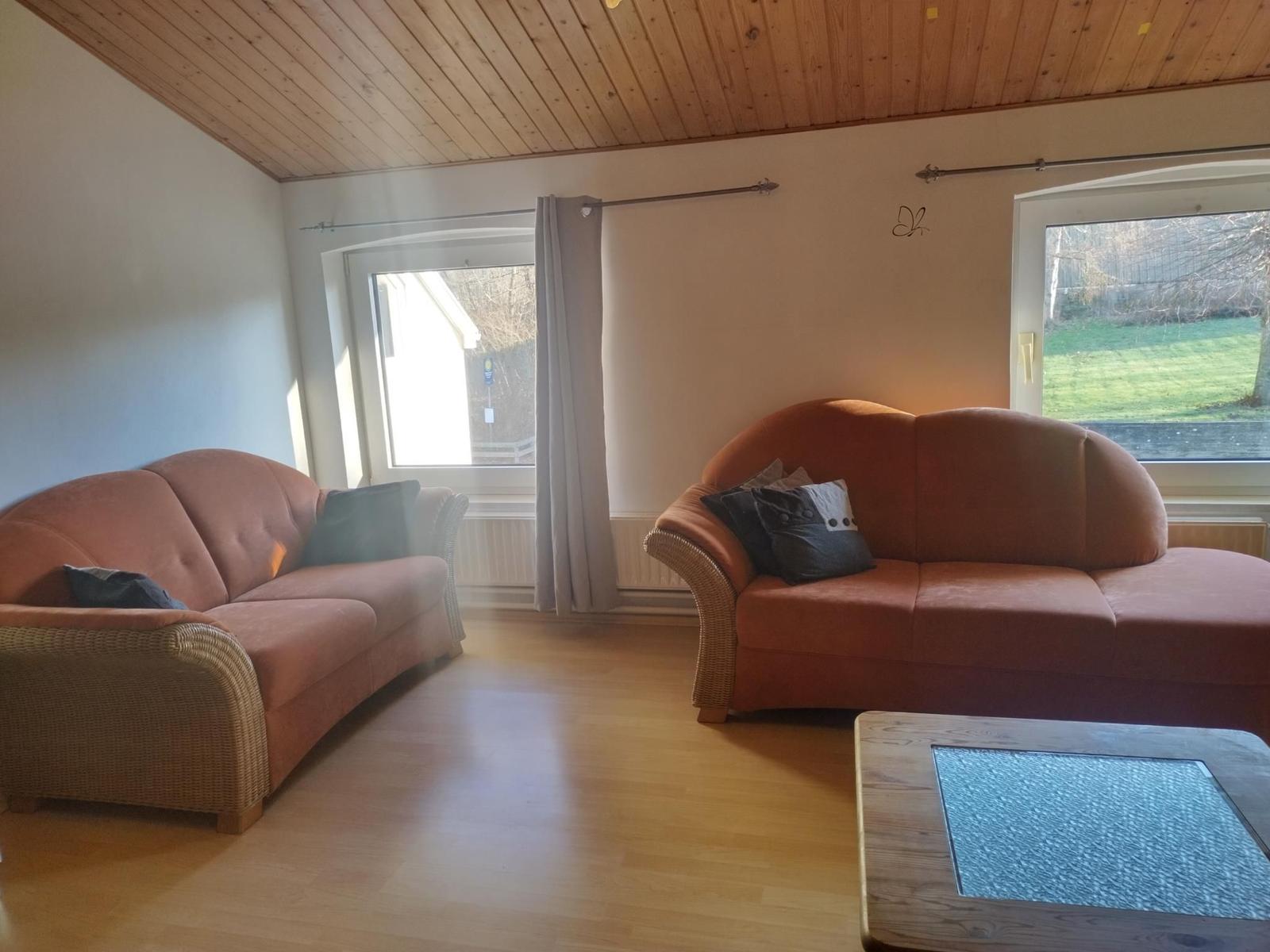 Zwei orangefarbene Sofas mit Kissen stehen in einem Raum mit Holzfußboden und Holzdecke.