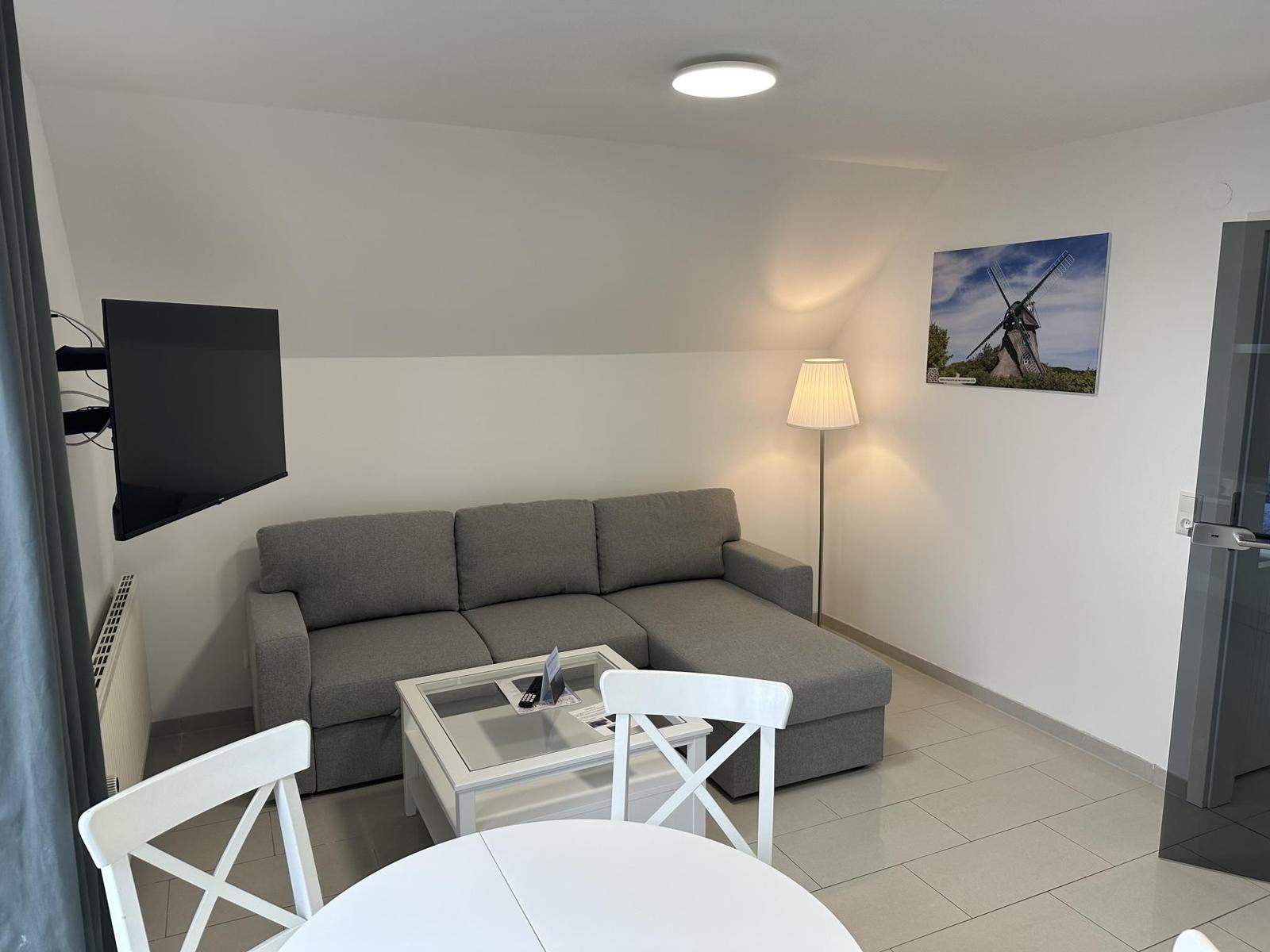 Wohnbereich mit Sofa, Couchtisch, TV und Wandbild einer Windmühle.