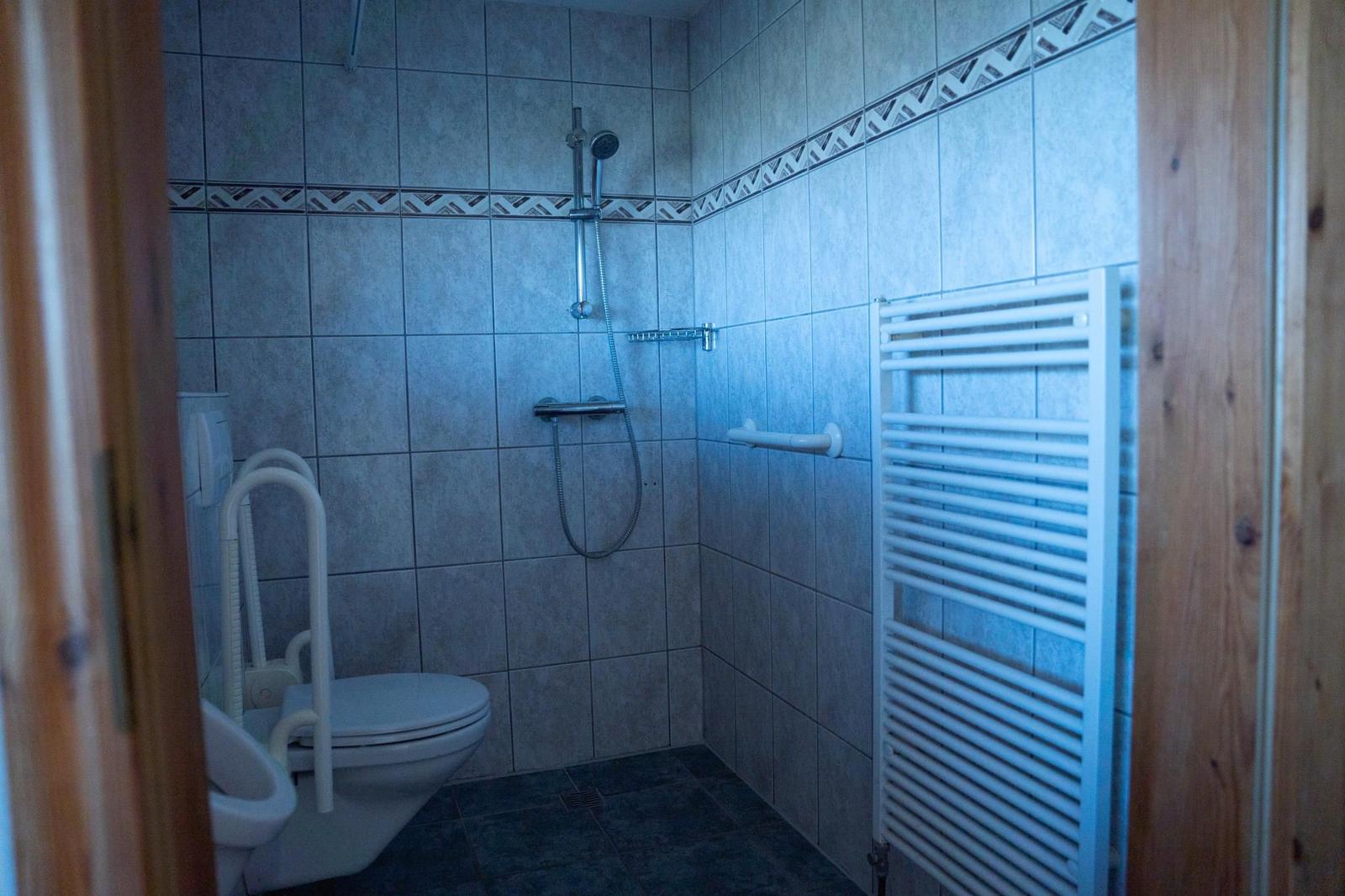 Badezimmer mit Dusche, Toilette und Heizkörper