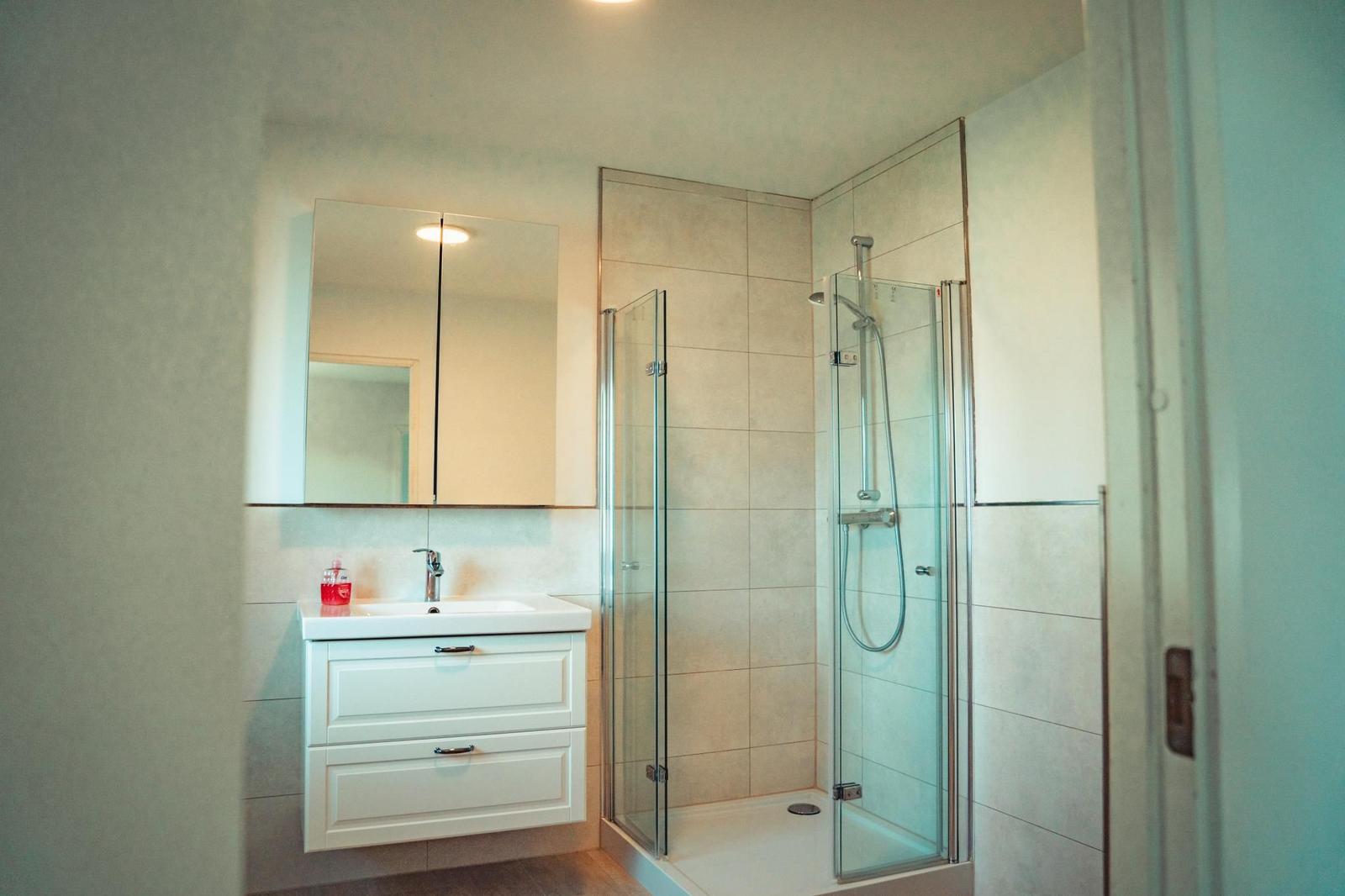 Badezimmer mit Dusche und Waschbecken mit Spiegelschrank