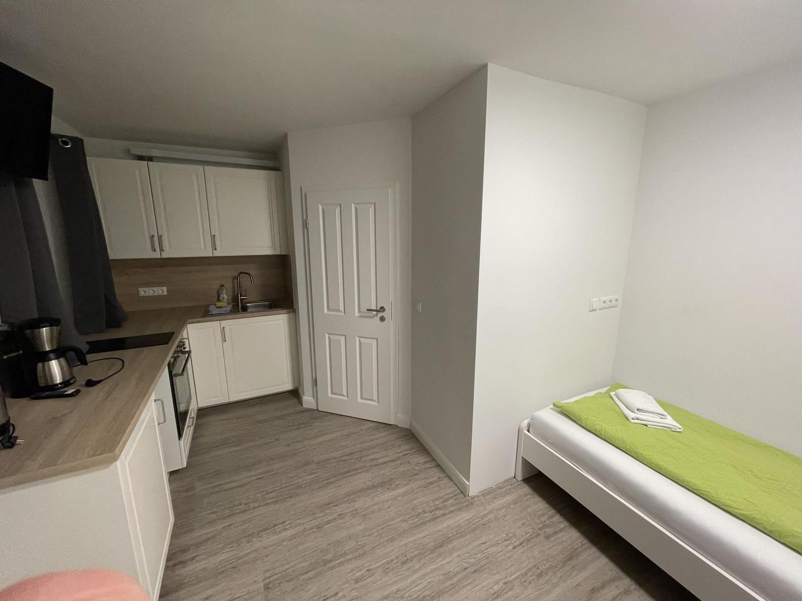 Ein Schlafzimmer mit Bett und Küchenbereich mit Arbeitsplatte und Spüle.