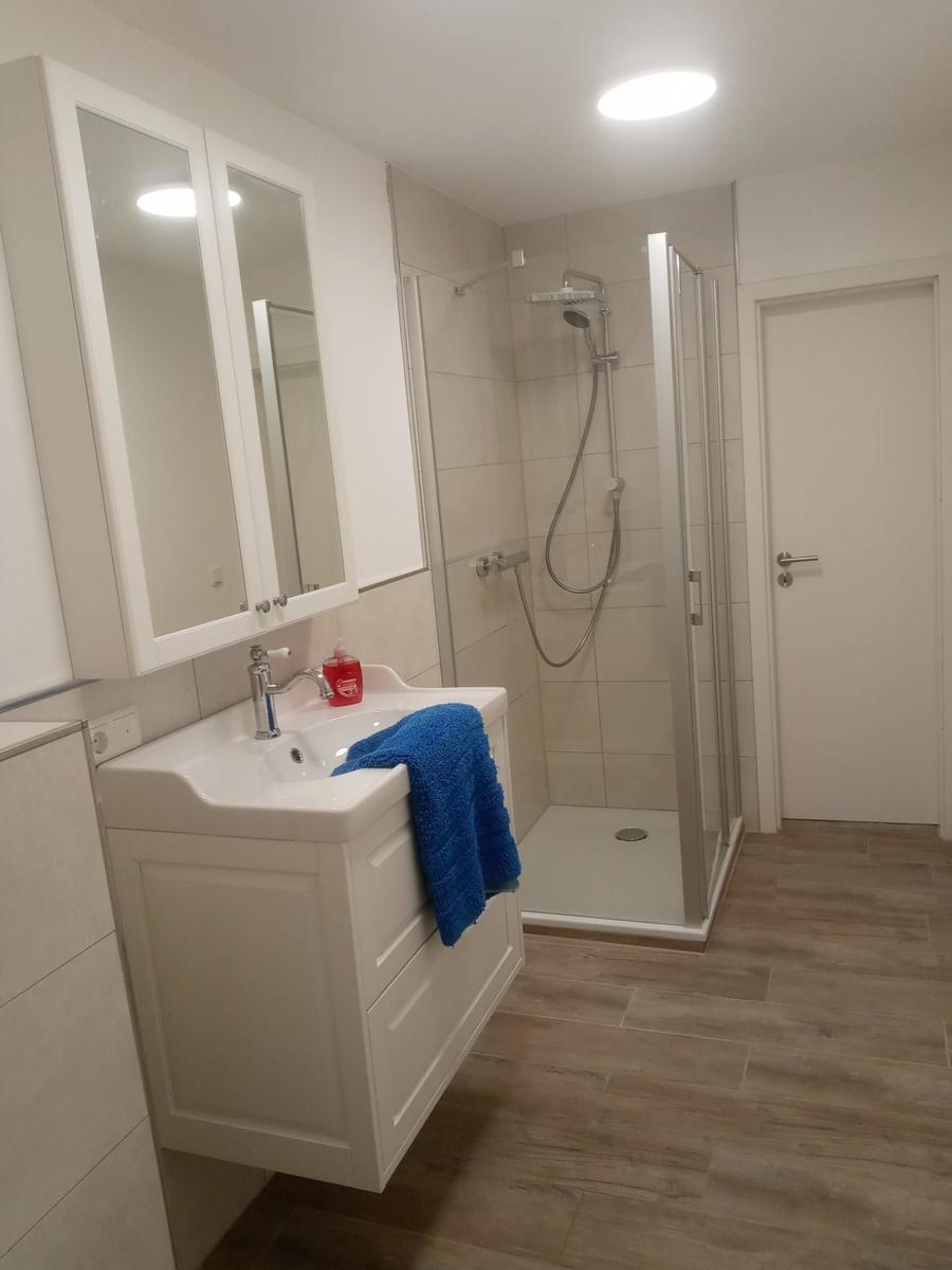 Badezimmer mit Dusche, Waschbecken und Spiegelschrank.