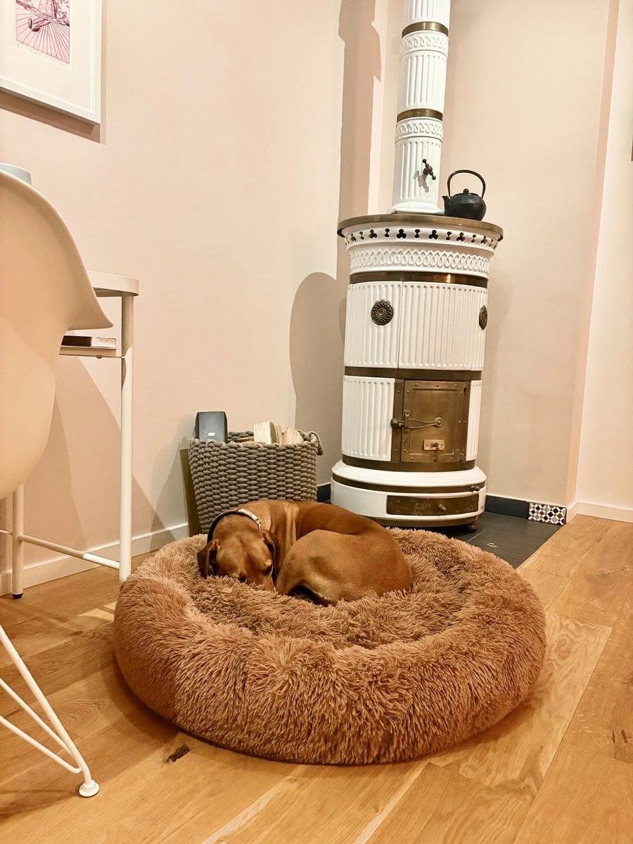Hund schläft in runder Decke vor Kachelofen