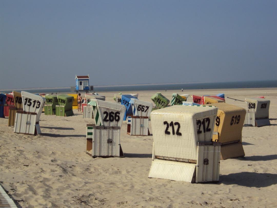 Beach with colorful beach chairs and view of the sea.