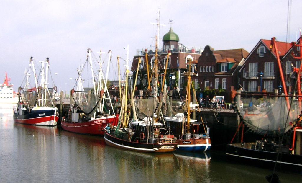 Harbor with several fishing boats and red brick buildings in the background.