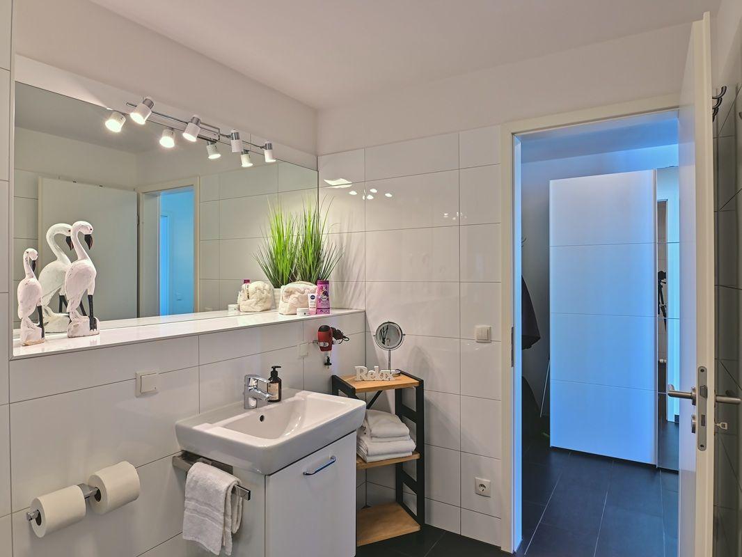 Badezimmer mit Waschbecken, Spiegel und Pflanze. Tür führt in Dusche.