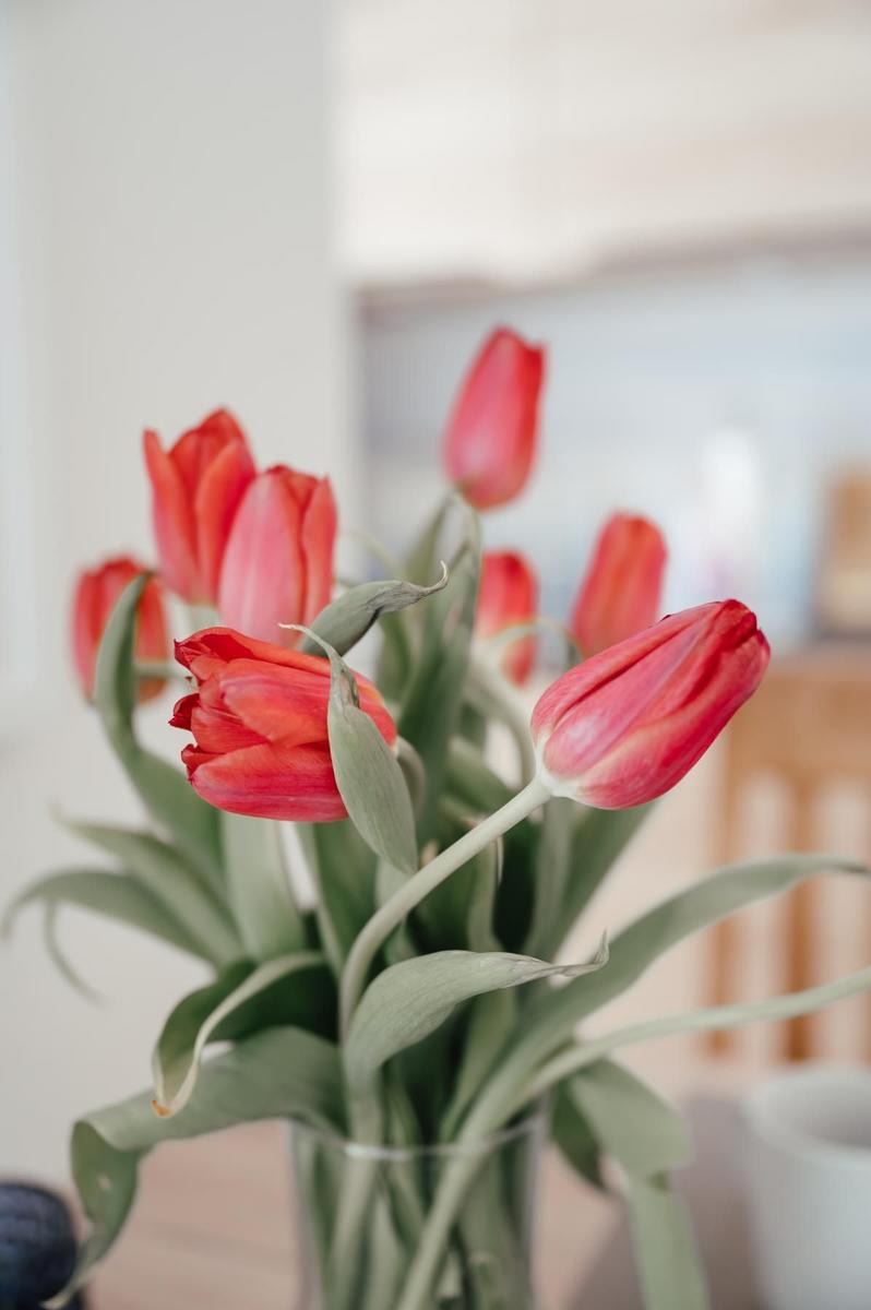 Ein Glas mit roten Tulpen auf einem Tisch.