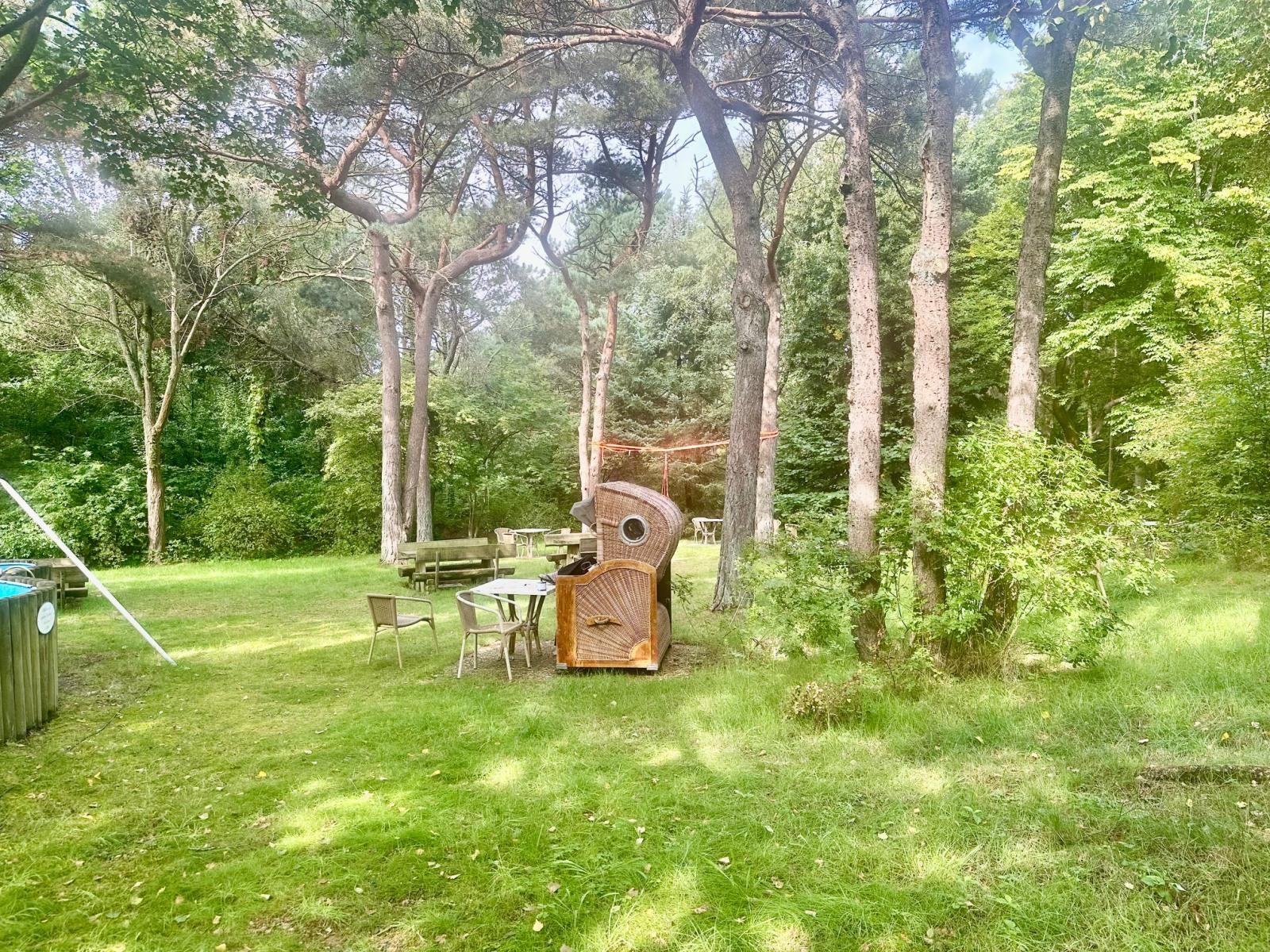 Grüner Garten mit Bäumen, Tisch, Stühlen und einem Rattanmöbel.