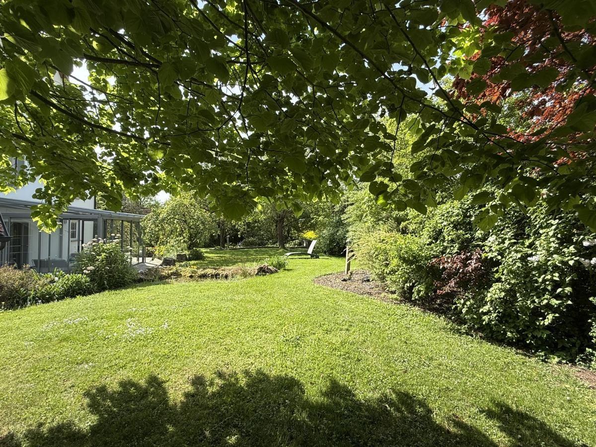 Grüner Garten mit Bäumen und einem Haus im Hintergrund.