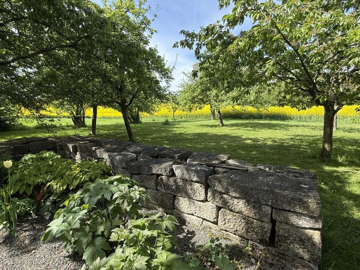 Hinter dem Haus beginnt die ungestörte Natur mit weitläufigen Wiesen und Feldern