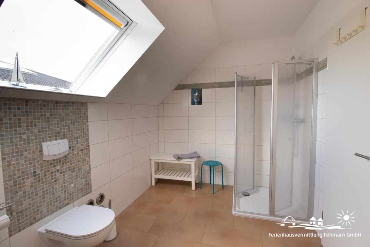 Bathroom with shower, toilet, and skylight. Tile wall and wooden floor.
