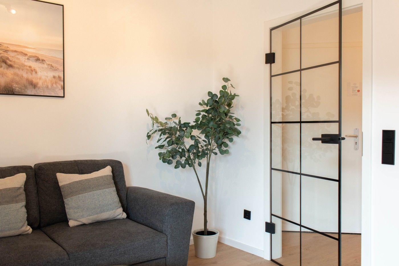 Grauer Sofa mit Kissen, Pflanze und Glaswandtür im Wohnbereich.