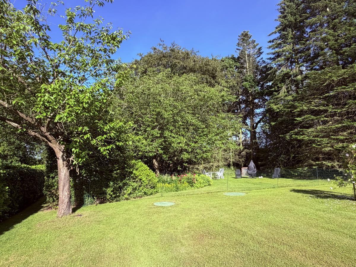 Grüner Garten mit Bäumen und Gartenmöbeln unter blauem Himmel.