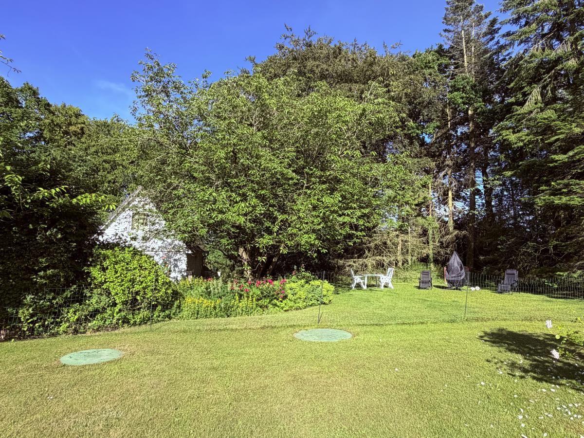 Grüner Garten mit Haus, Gartenmöbeln und Bäumen unter blauem Himmel.