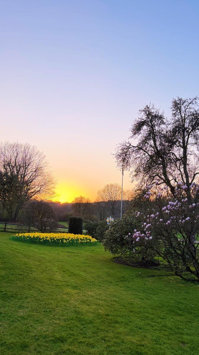 Sonnenuntergang über Rasenfläche mit Blumenbeet und Bäumen.