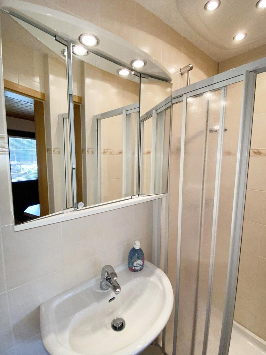 Bathroom with sink, mirror, and shower cabin.
