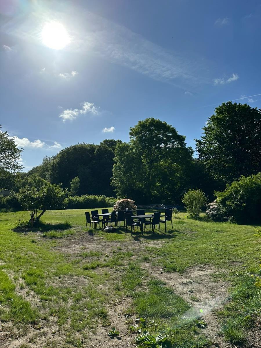 Garten mit Tisch und Stühlen unter blauem Himmel und Bäumen.