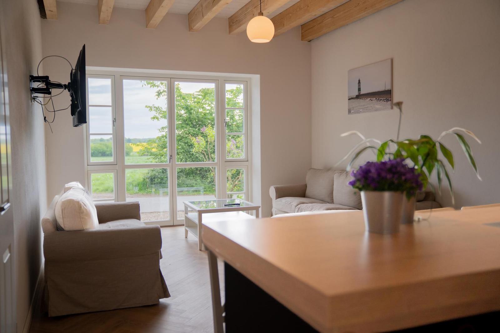 Wohnraum mit Sofa, Fernseher und Fensterblick auf Grünflächen