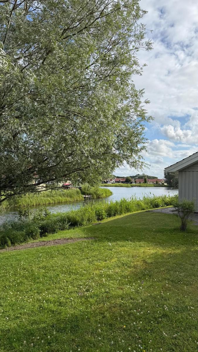 Green lawn in front of a house with a view of a lake and trees.