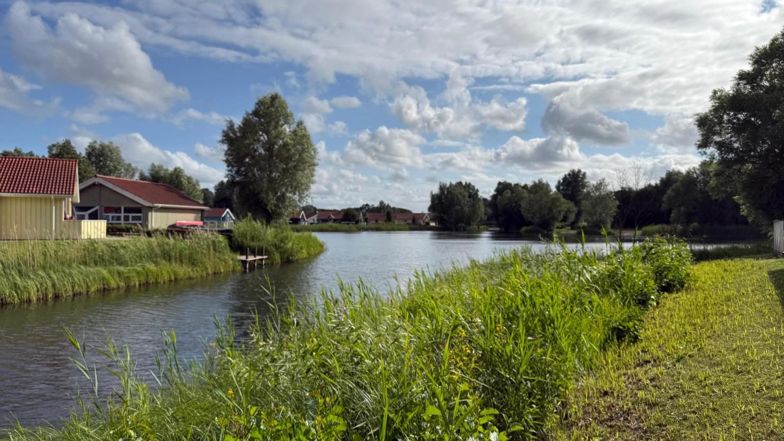 Calm water landscape with houses along the shore and green vegetation in the foreground.