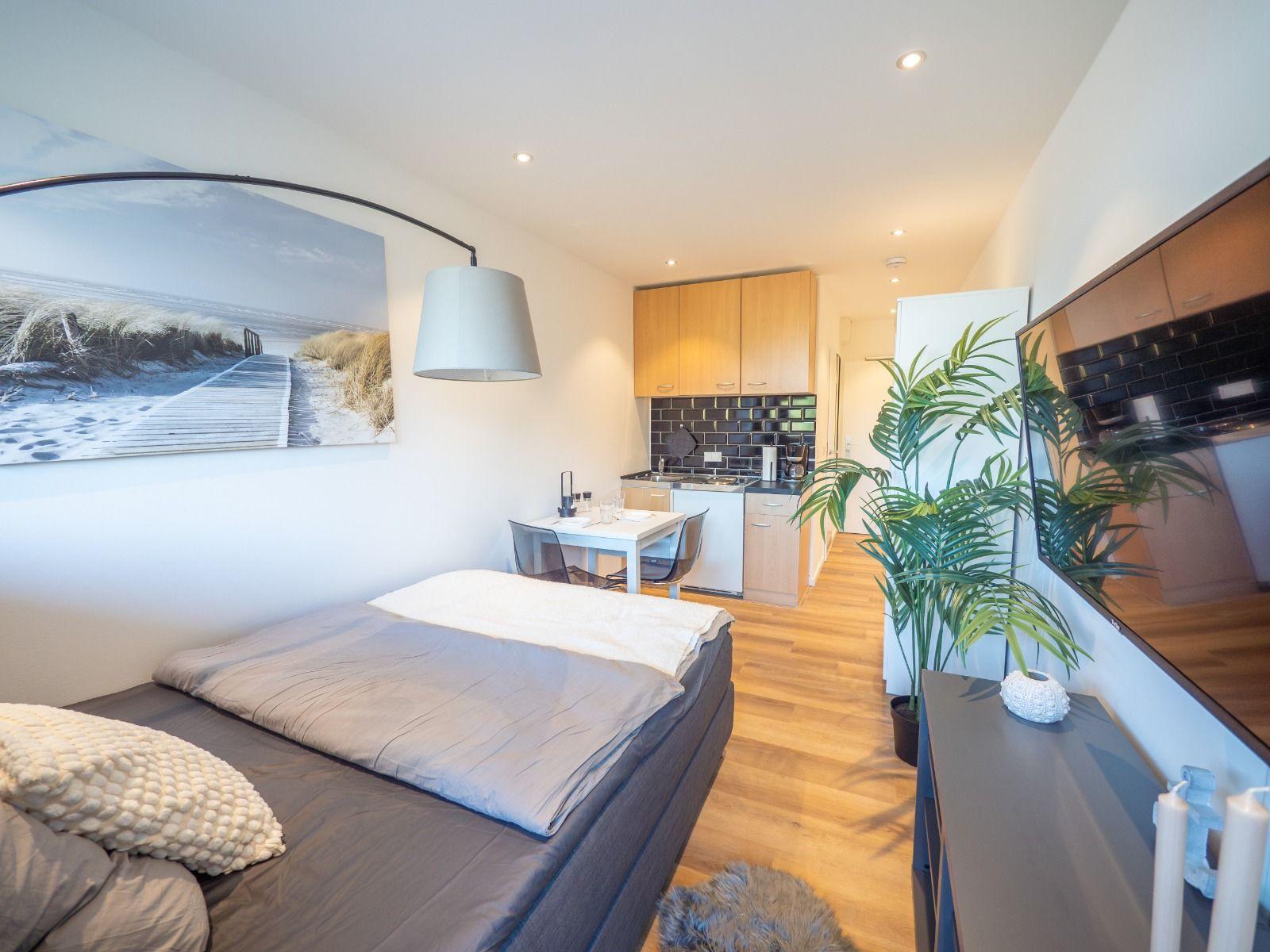 Schlafzimmer mit Bett, Küchenbereich und Pflanze. Wandbild und Fernseher sichtbar.
